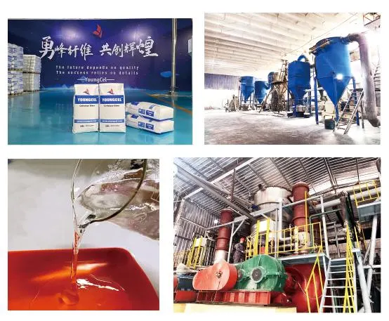 Construction Additives Chemical Thickener Hydroxypropyl Methyl Cellulose HPMC