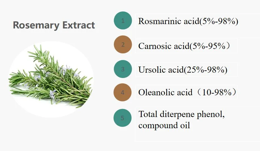 E. K Herb Factory Food Grade Rosemary Extract Carnosic Acid Oil 5%~20% High Effect Antioxidants for Meat Preservatives Carnosic Acid