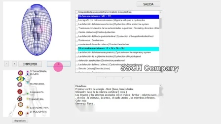 臨床分析装置 8d NLS オーラ チャクラ マシン全身健康アナライザー